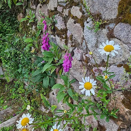 Bienvenue Chez Jacquou D'hote Cher L'habitant *