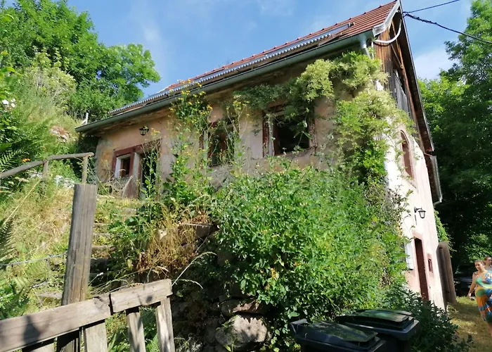 Bienvenue Chez Jacquou D'hote Privat bolig